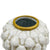 Gran Pina Vase White