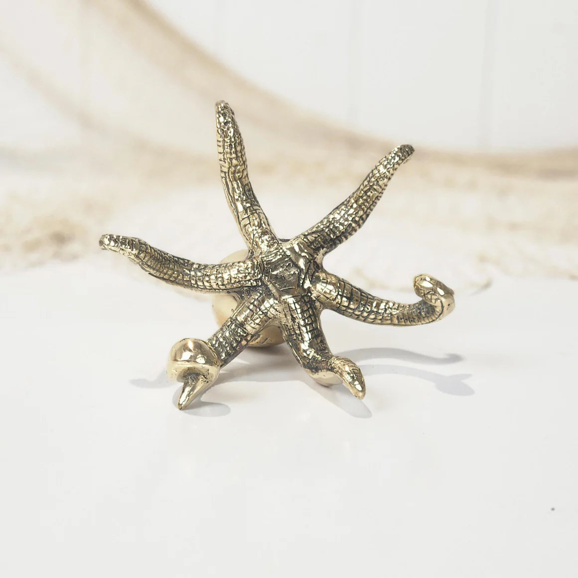 Ollie Octopus - Shiny