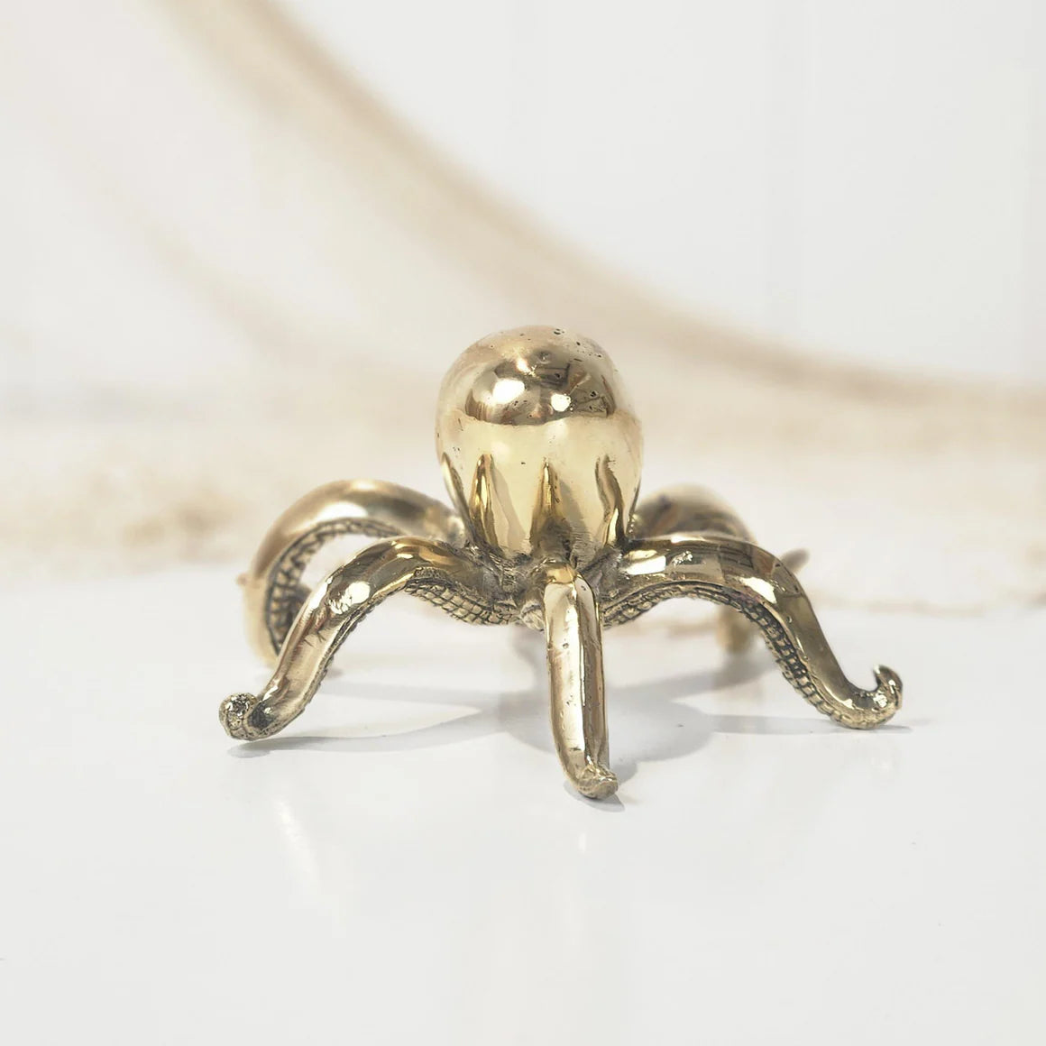 Ollie Octopus - Shiny