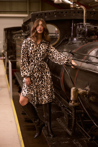 Penny Long Sleeve Dress in Savannah Print