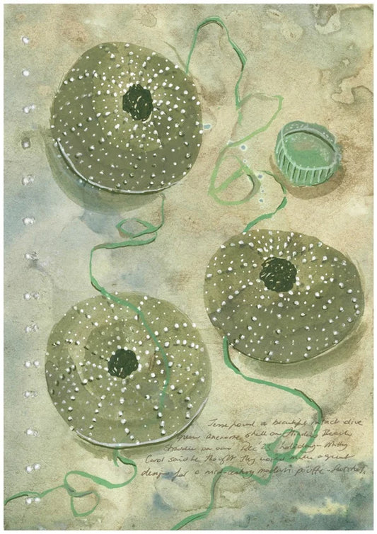 Beachcombing Fine Art Print A3 – Megan Forward