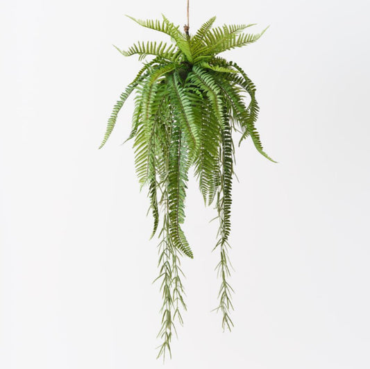 100cm Boston Fern Hanging Ball