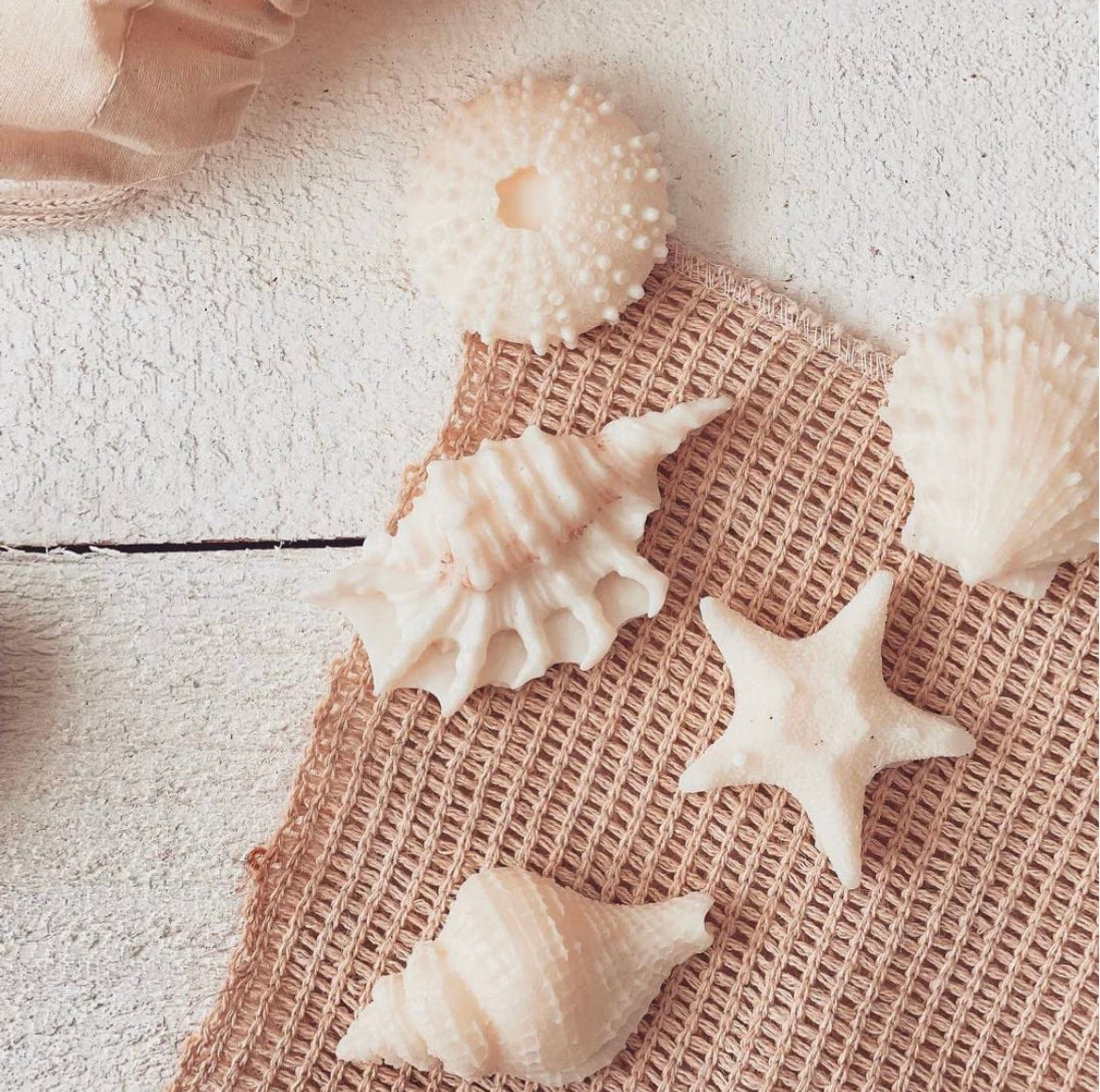 Ocean Soy Wax melts - sea salt + sage