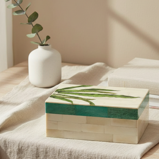 Paradiso Box - Asplenium