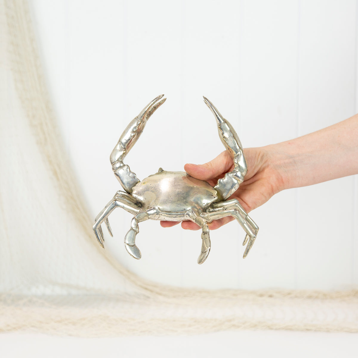 Crab L Shiny