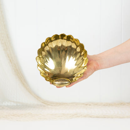 Scallop Shell Dish in Shiny