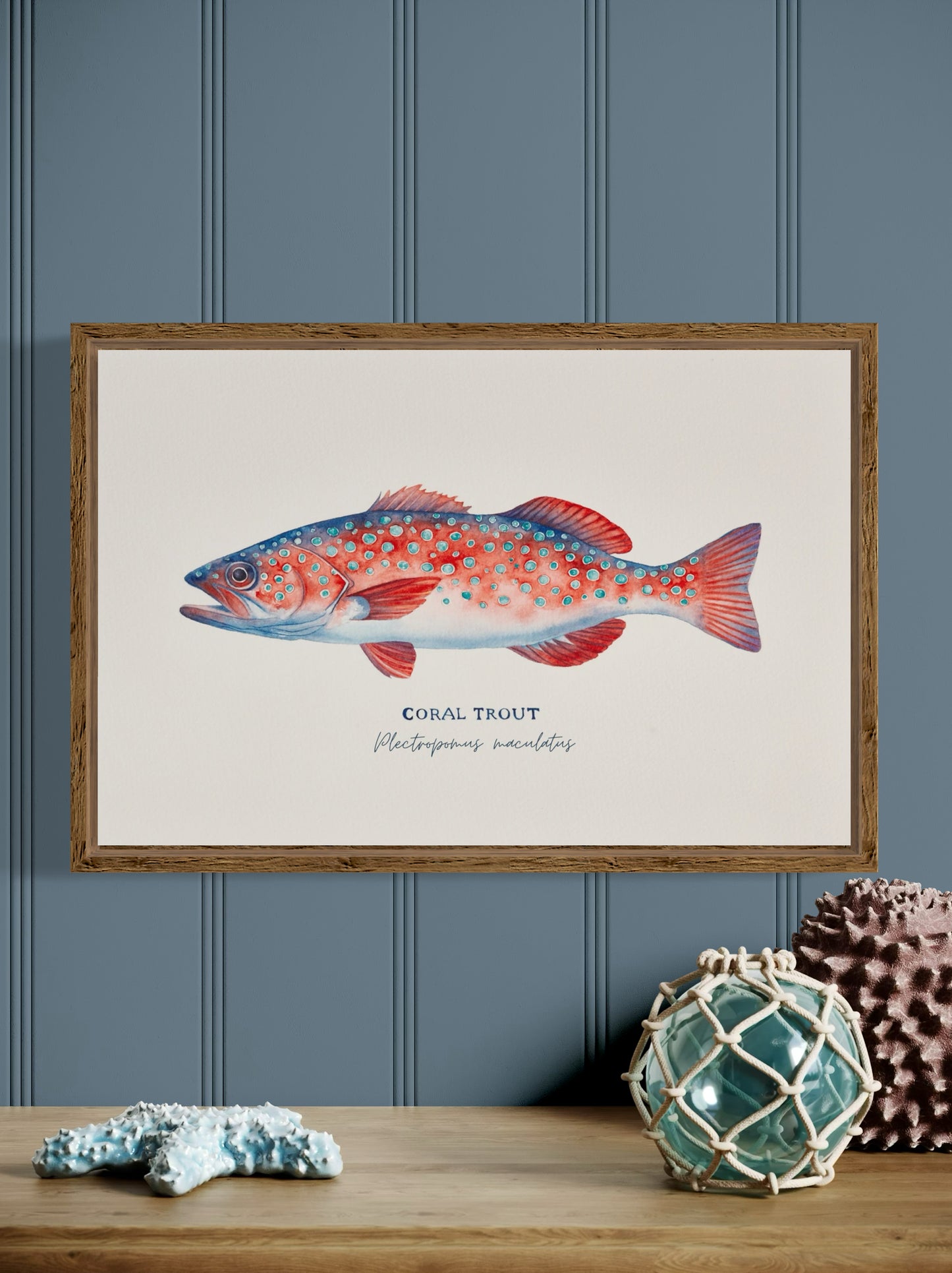 Coral Trout Art Print by Michelle Turner