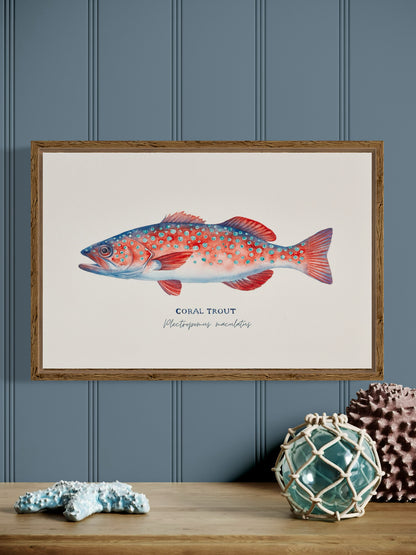 Coral Trout Art Print by Michelle Turner