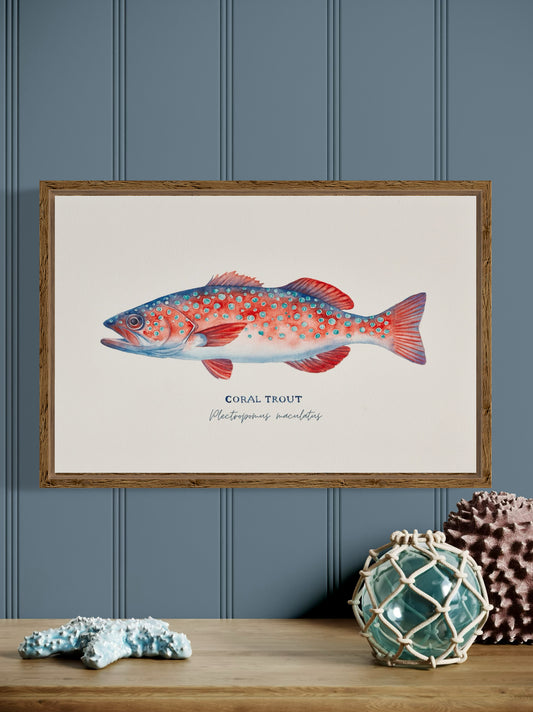 Coral Trout Art Print by Michelle Turner