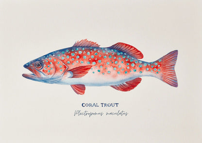 Coral Trout Art Print by Michelle Turner