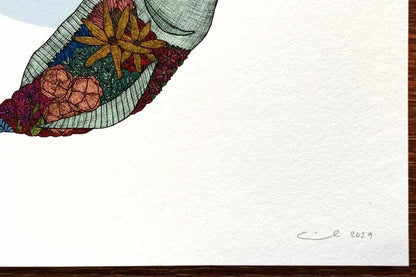 Fish Petals - A4
