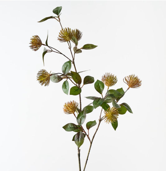 Protea Leucospermum Spray