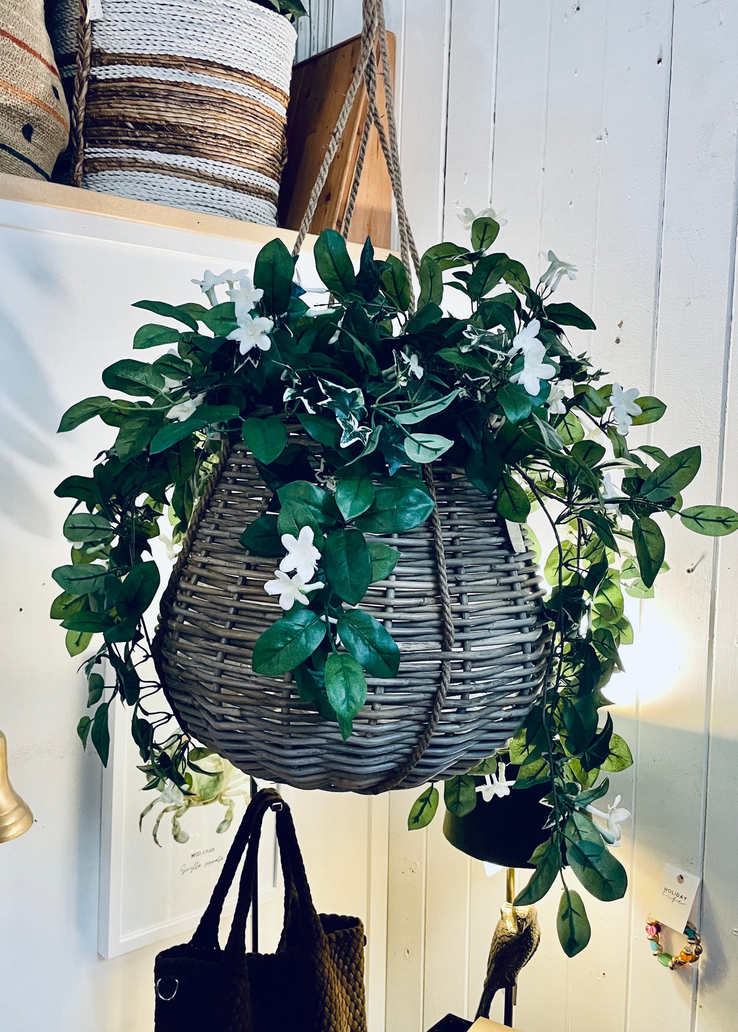 Cancun Hanging Baskets - Medium