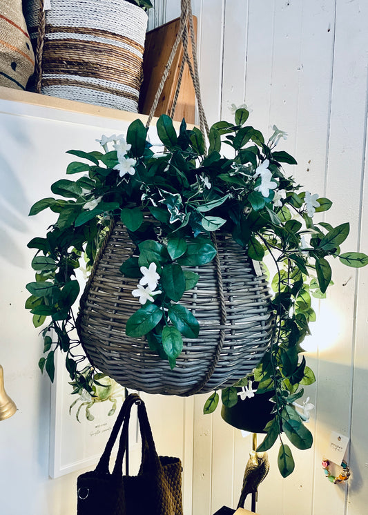 Cancun Hanging Baskets - Medium