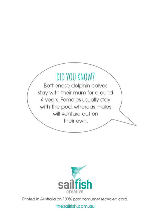 Greeting Card - Dolphins