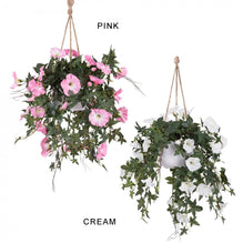 75cm Morning Glory in Hanging Planter
