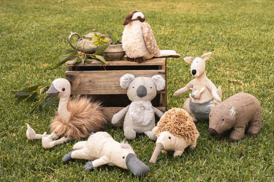 Mob of Seven Aussie Softies