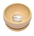 Sassi Silicone Meal Bowl Set - Gnawy the Sloth