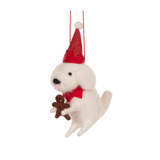 Wool Shitzu with Cookie