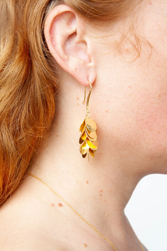 MW Gold stock of coins earrings B163
