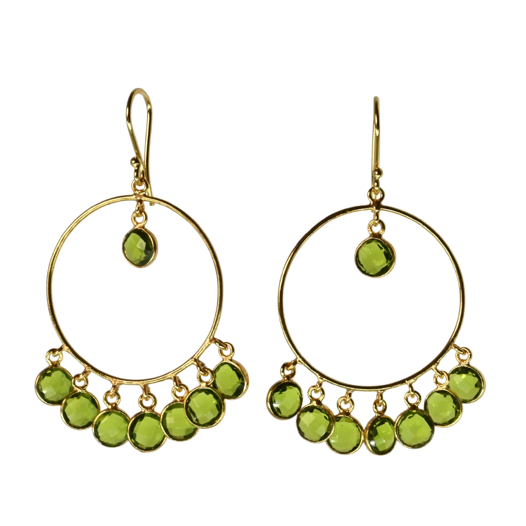 MW Euro Gold Earrings A262