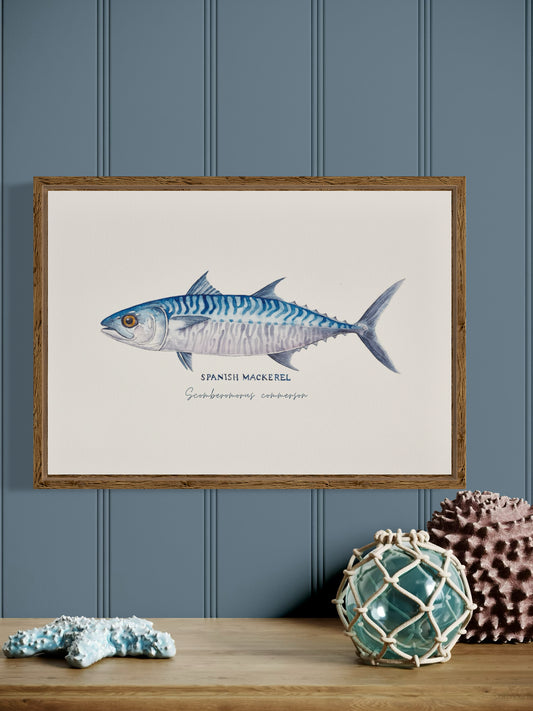 Spanish Mackerel Art Print by Michelle Turner