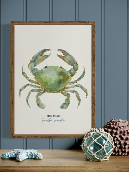 Mud Crab Art Print by Michelle Turner