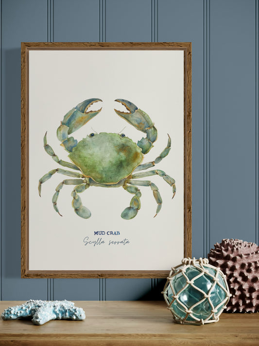 Mud Crab Art Print by Michelle Turner