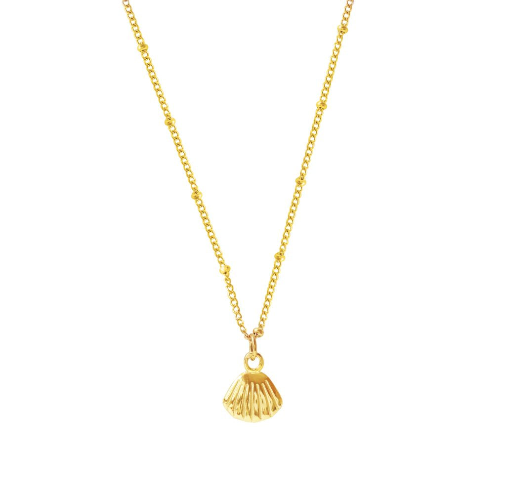 Gold Shell Necklace