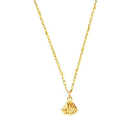 Gold Shell Necklace