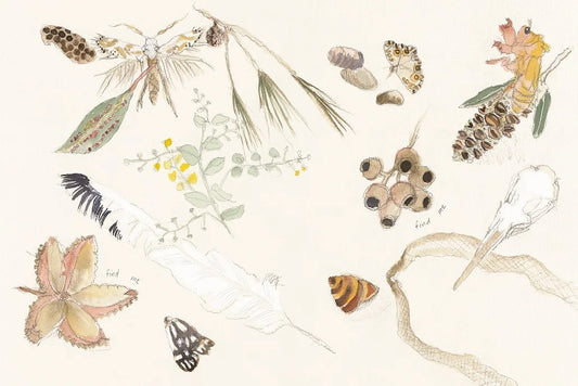 Nature's Treasure Fine Art Print A3 – Megan Forward