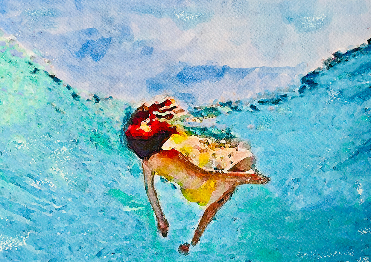 Assorted Brave Move Postcards by Alexandra Andersen