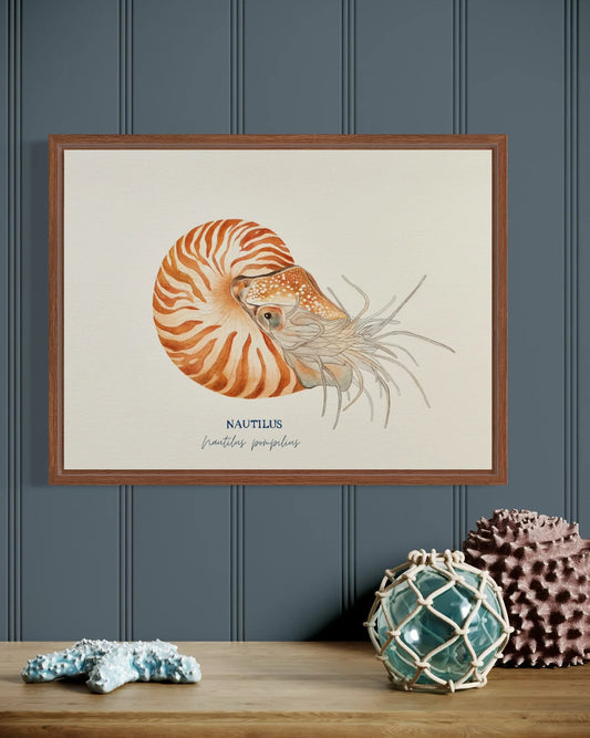 Nautilus Art Print by Michelle Turner
