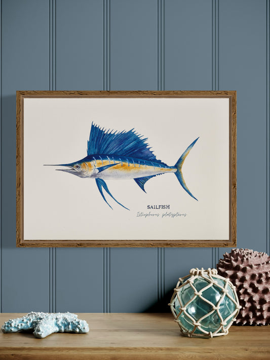 Sailfish Art Print by Michelle Turner