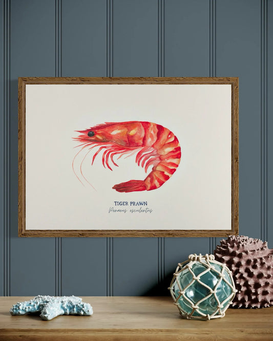 Tiger Prawn Art Print by Michelle Turner
