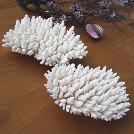 Coral Acropora Finger (20-25cm)