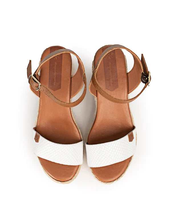 Arnia Snake in White