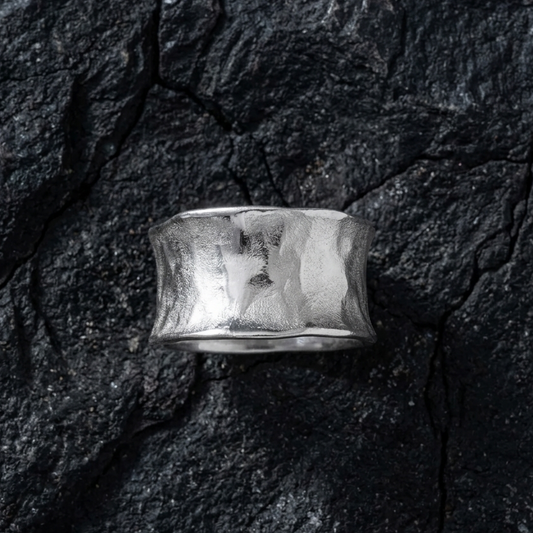 Aurea Terra Ring in Silver