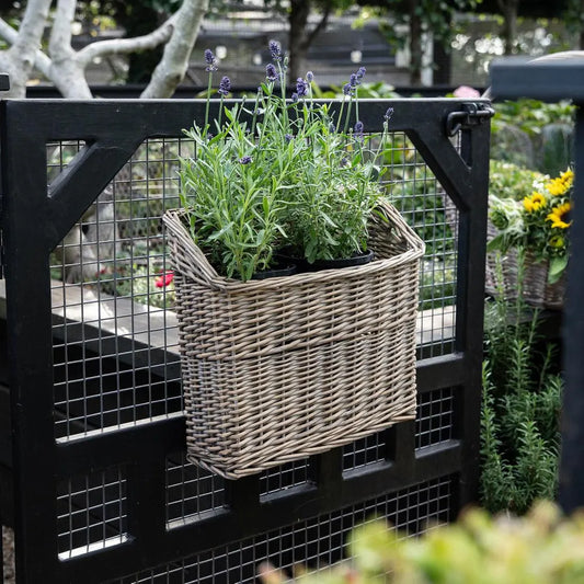 Rectangular Hanging Baskets