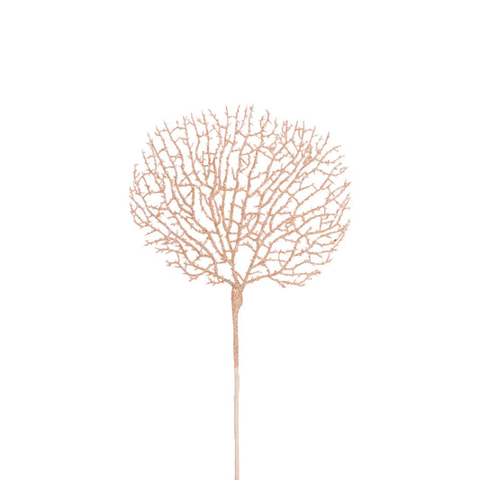 Coral Sea Fan Pick