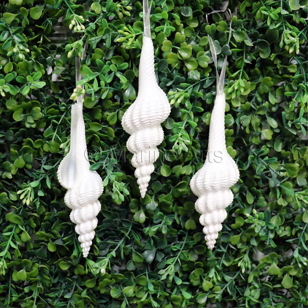 Natural glitter shell fusinus forceps christmas decoration