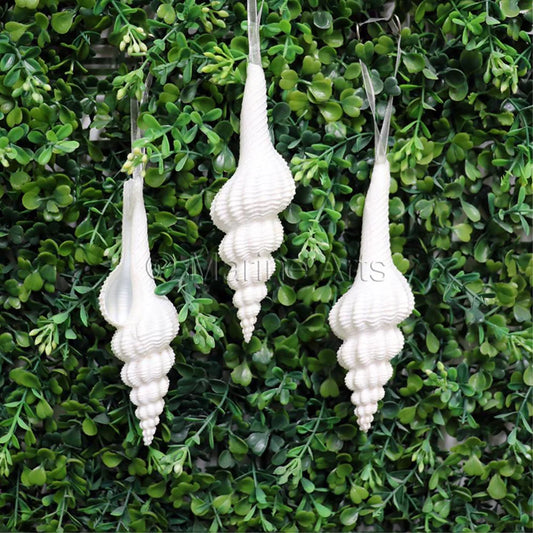 Natural glitter shell fusinus forceps christmas decoration