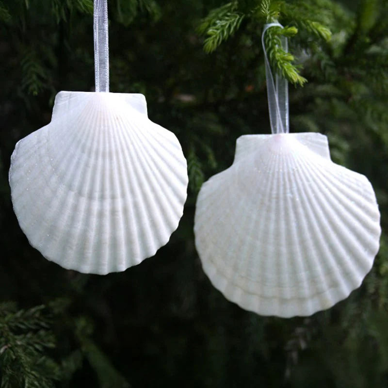 White scallop shell decoration