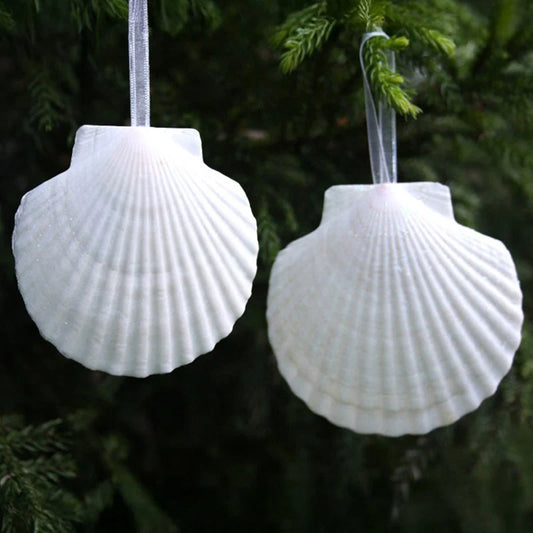 White scallop shell decoration