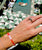 Ibiza Bracelet Japanese Tila and Miyuki beads Bracelet (Various)
