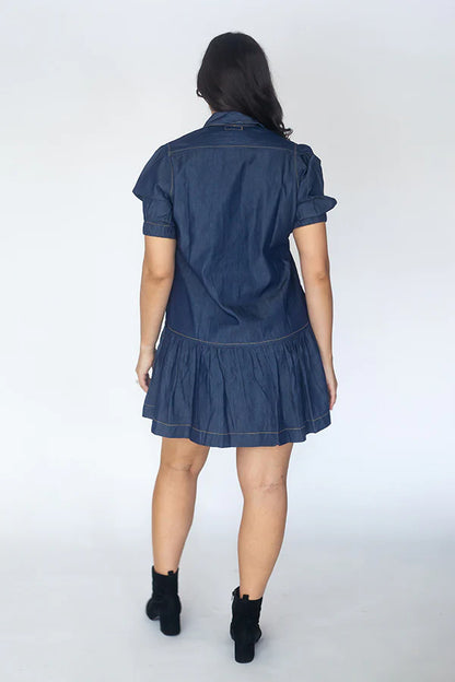 Itami Denim Button Dress