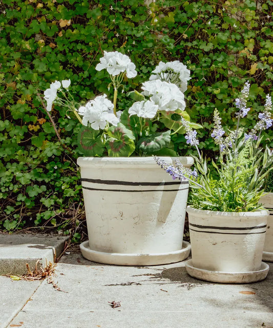 Lisbon Herb Pot (Range of Sizes)