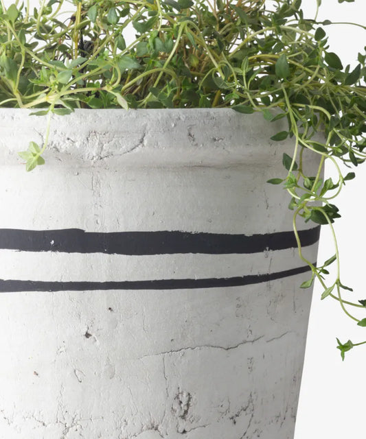 Lisbon Herb Pot (Range of Sizes)