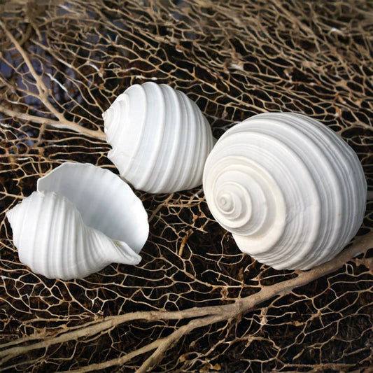 Natural tonna christmas decoration in white