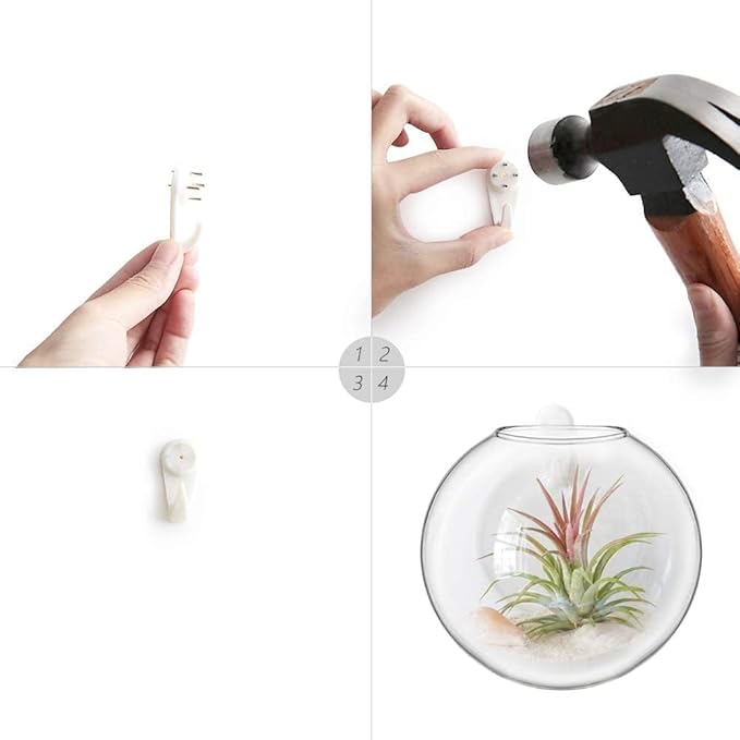 Glass Wall Hanging Planter